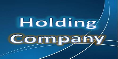 Formation of Holding Company