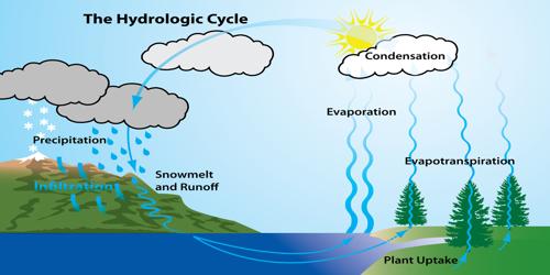 Hydrological Cycle of Water