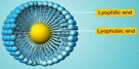 Lyophobic and Lyophilic Sols
