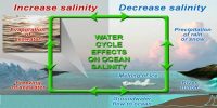 Salinity of Ocean Water
