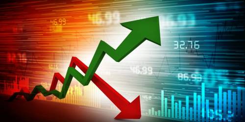 Difference between Share and Stock