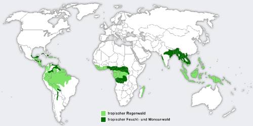 Tropical Humid Climates according to Koeppen’s Classification - QS Study