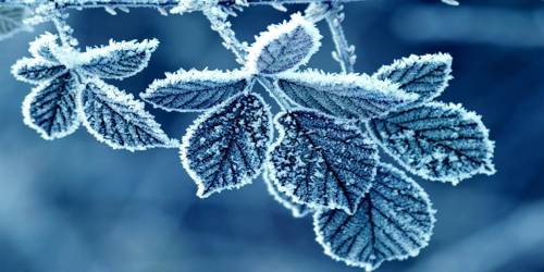 Frost in the atmosphere