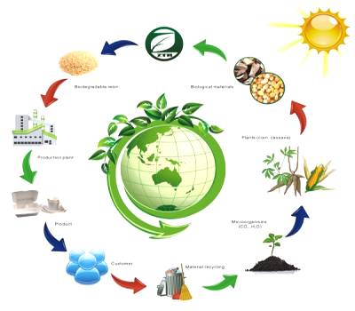 ecological balance definition class 10