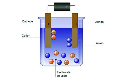 Electrophoresis - QS Study