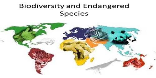 Endangered Species of Biodiversity