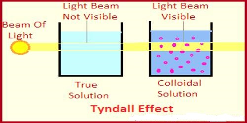 Optical Property of Colloids