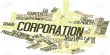 Objectives or Reasons for Statutory Corporation