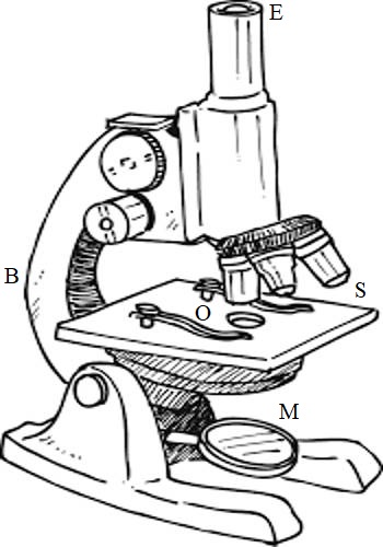 Microscope Comments - Microscope Drawing On Transparent Background - Free  Transparent PNG Clipart Images Download