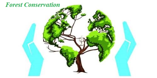 Forest Conservation in Indian Subcontinent