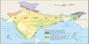 Littoral and Swamp Forests in Indian Subcontinent - QS Study