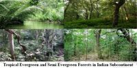 Tropical Evergreen and Semi Evergreen Forests in Indian Subcontinent