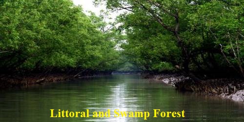Littoral and Swamp Forests in Indian Subcontinent
