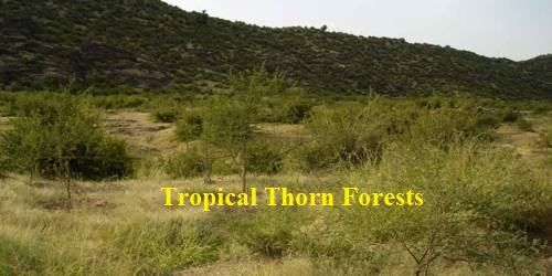 Tropical Thorn Forests in Indian Subcontinent