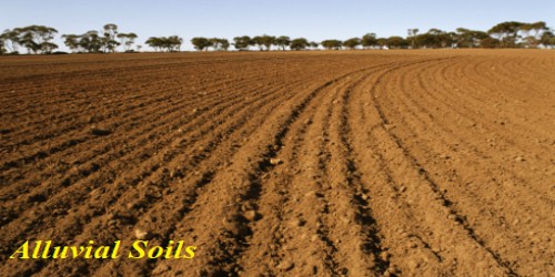 alluvial-soils-in-indian-subcontinent-qs-study