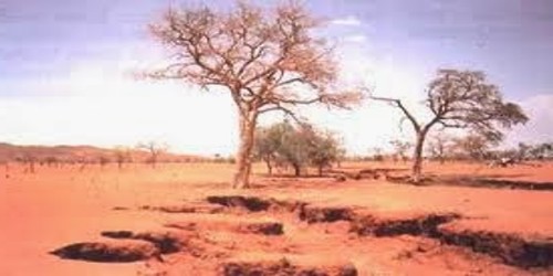 Arid Soils in Indian Subcontinent