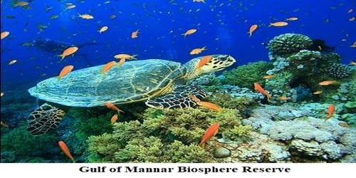 Gulf of Mannar Biosphere Reserve