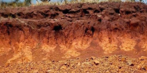 Laterite Soil in Indian Subcontinent