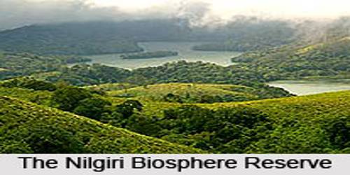 Nilgiri Biosphere Reserve - QS Study