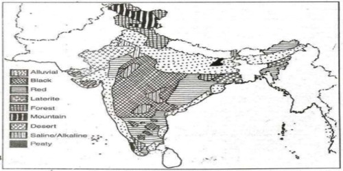 Peaty Soils in Indian Subcontinent