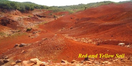 Red and Yellow Soil in Indian Subcontinent