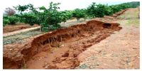 Soil Erosion in Indian Subcontinent