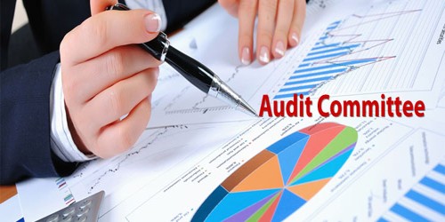 Objectives of the Audit Committee