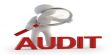 Audit Procedure for obtaining Audit Evidence