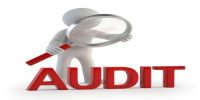 Audit Procedure and its Objectives