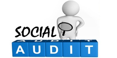 Features of a Social Audit