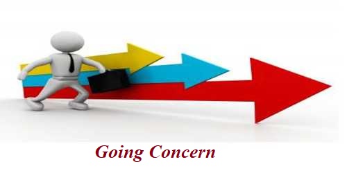 What Is A Sale Of Going Concern