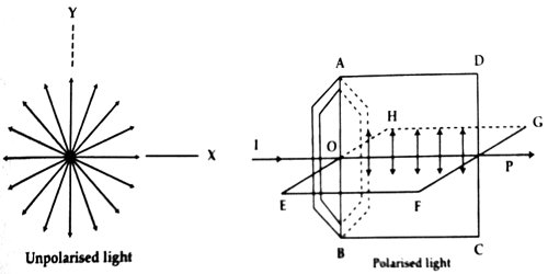 Definition: Unpolarized, Polarized and Plane Polarized Light