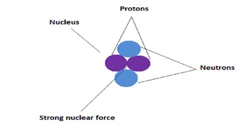 Strong Nuclear Force