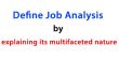 Define Job Analysis by explaining its multifaceted nature