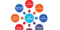 Purposes or Objective of Job Analysis
