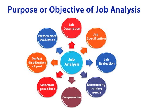 Purposes or Objective of Job Analysis