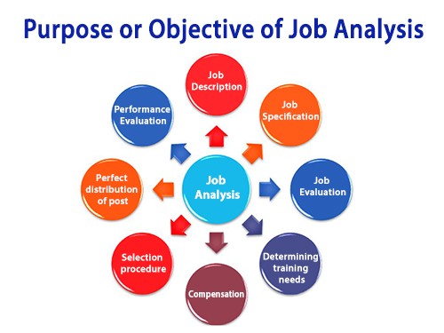 explain the purpose of job analysis