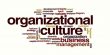 Organizational Culture and its components