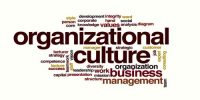 Organizational Culture and its components