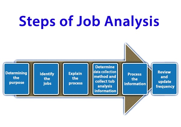 Steps Of Job Analysis QS Study