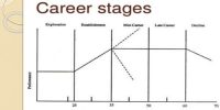 Different Traditional Career Stage