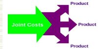 Joint Product and Joint Cost