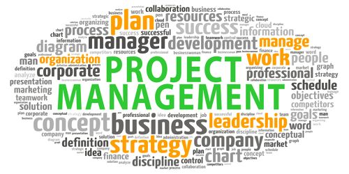 Differences between Project and Project Management