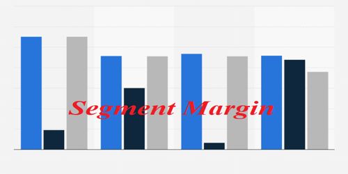 Segment Margin in Product Line