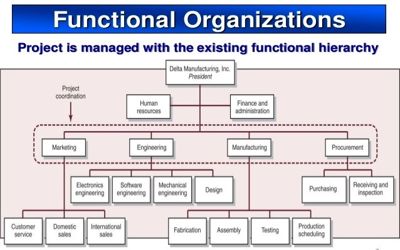 case study functional organization