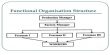 Functional Organizational Structure of Project Organization