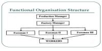 Functional Organizational Structure of Project Organization