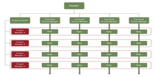 Matrix Organization System of Project Organization