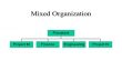 Mixed Organization Project (Hybrid)