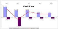 Basic Principles for measuring Project Cash Flows